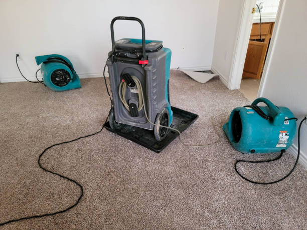 Best Sewage cleanup and water damage restoration  in Jasper, GA