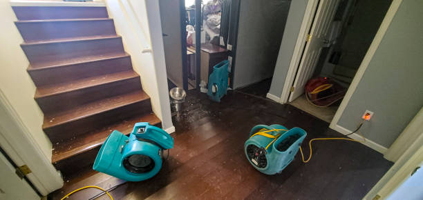 Best Local water damage restoration  in Jasper, GA