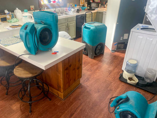 Best 24-hour water damage restoration  in Jasper, GA