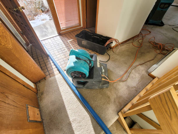Best Water damage restoration services  in Jasper, GA