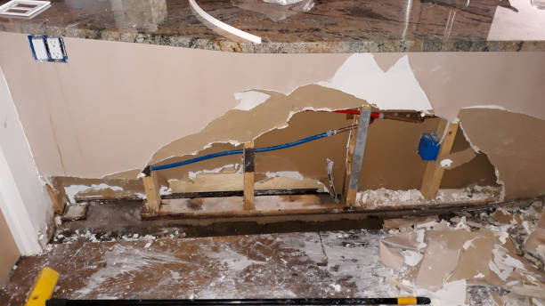 Best Carpet water damage restoration  in Jasper, GA