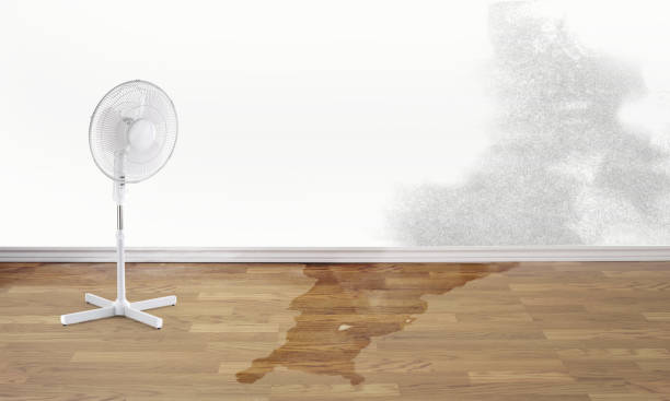 Local water damage restoration in GA