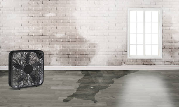 Best Water damage restoration process  in Jasper, GA
